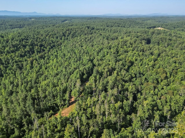 5282 NC-181 St, Morganton, NC 28655 - photo 41