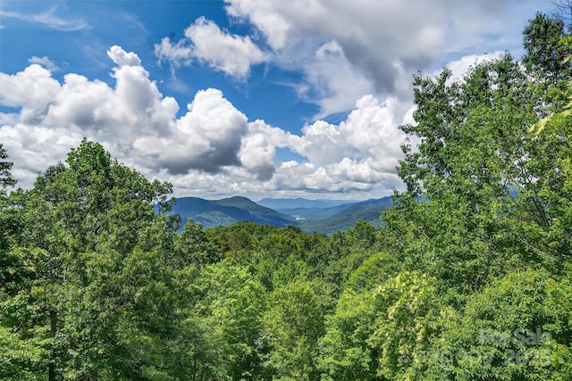 35 Elderberry Dr Unit 805, Old Fort, NC 28762 - mountain view with a heavily wooded area