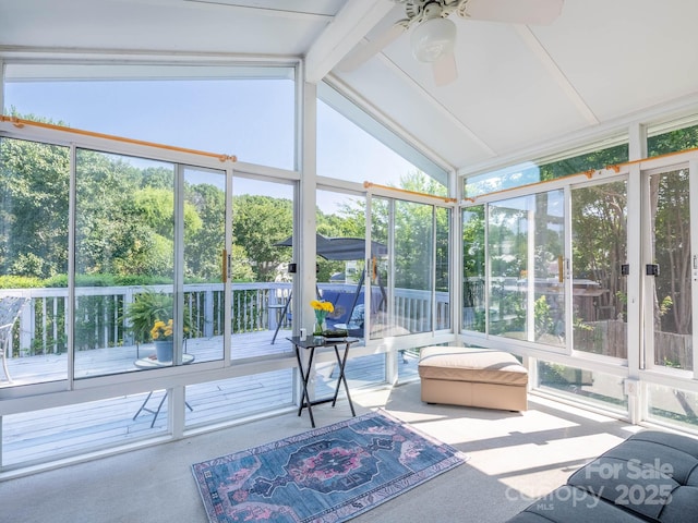11911 Brownestone View Dr, Charlotte, NC 28269 - sunroom featuring a ceiling fan