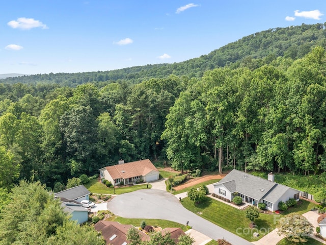 670 New Village Dr, Hendersonville, NC 28791 - aerial view of a heavily wooded area