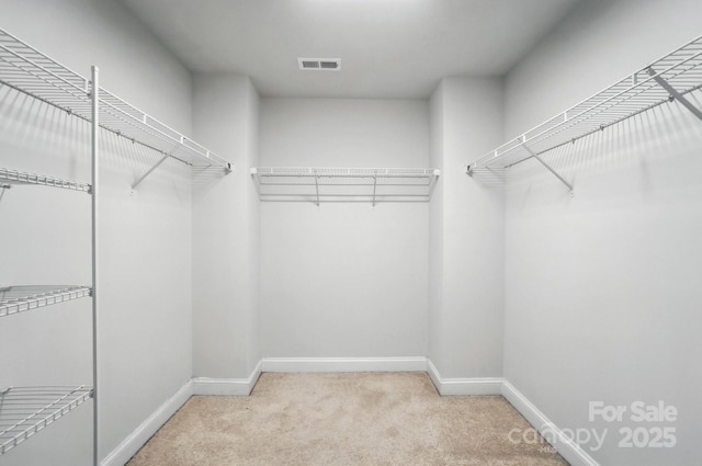 334 Ladybird Ln, Pineville, NC 28134 - walk in closet featuring carpet flooring