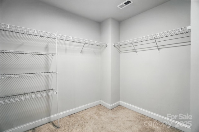 334 Ladybird Ln, Pineville, NC 28134 - walk in closet featuring carpet
