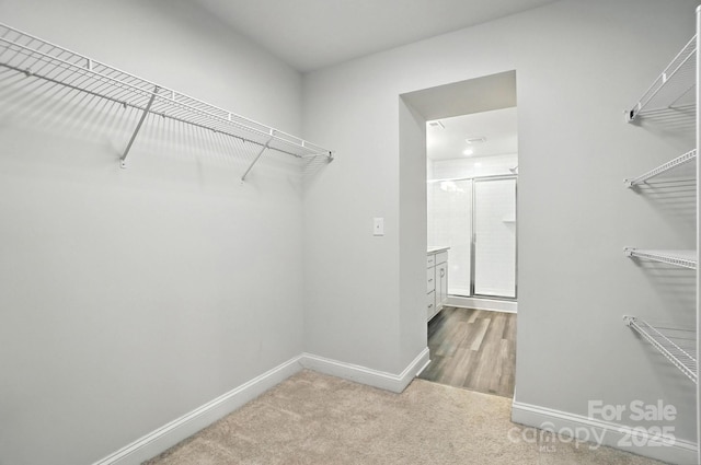 334 Ladybird Ln, Pineville, NC 28134 - walk in closet featuring carpet