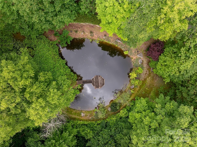 303 Flying Hawk Trl, Waynesville, NC 28786 - aerial view of property's location