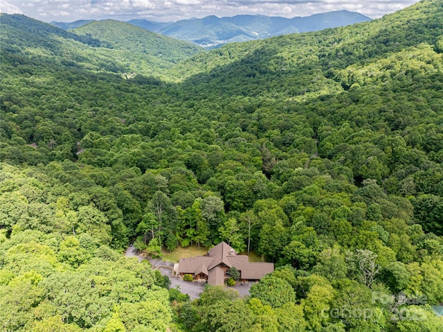 303 Flying Hawk Trl, Waynesville, NC 28786 - aerial view of mountains