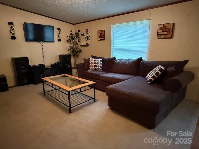 2418 6th Ave SW, Hickory, NC 28602 - carpeted living area featuring crown molding and a textured ceiling