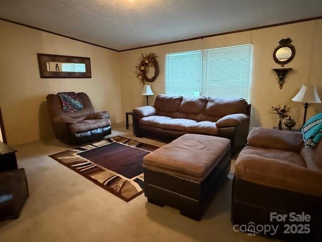 2418 6th Ave SW, Hickory, NC 28602 - carpeted living room featuring vaulted ceiling, ornamental molding, and a textured ceiling