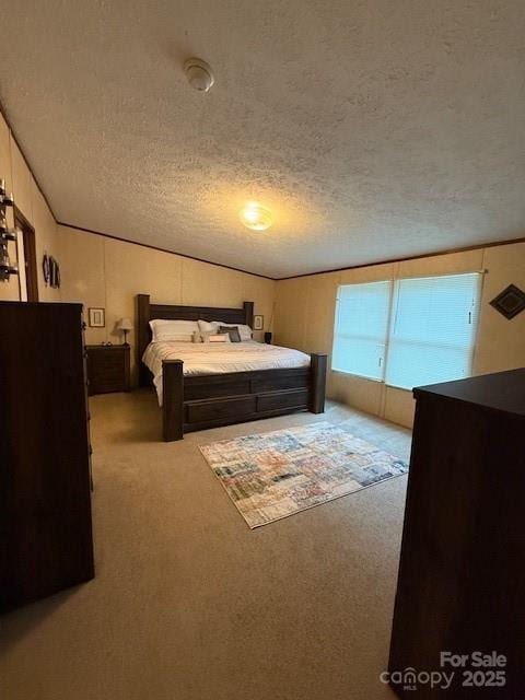 2418 6th Ave SW, Hickory, NC 28602 - bedroom featuring carpet floors, a textured ceiling, and lofted ceiling