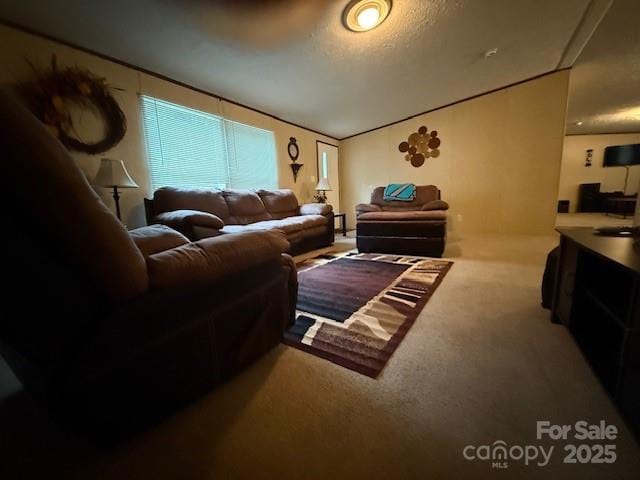 2418 6th Ave SW, Hickory, NC 28602 - view of carpeted living area