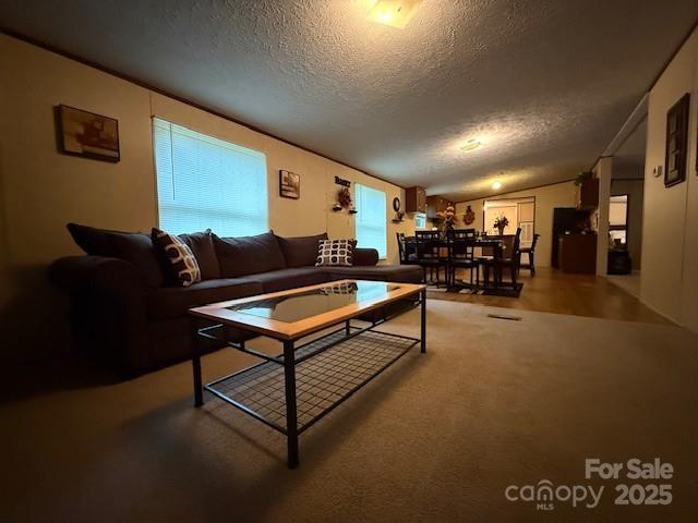 2418 6th Ave SW, Hickory, NC 28602 - living room with a textured ceiling, vaulted ceiling, and carpet floors