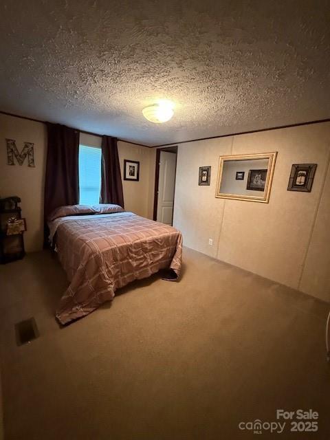 2418 6th Ave SW, Hickory, NC 28602 - bedroom with a textured ceiling and carpet