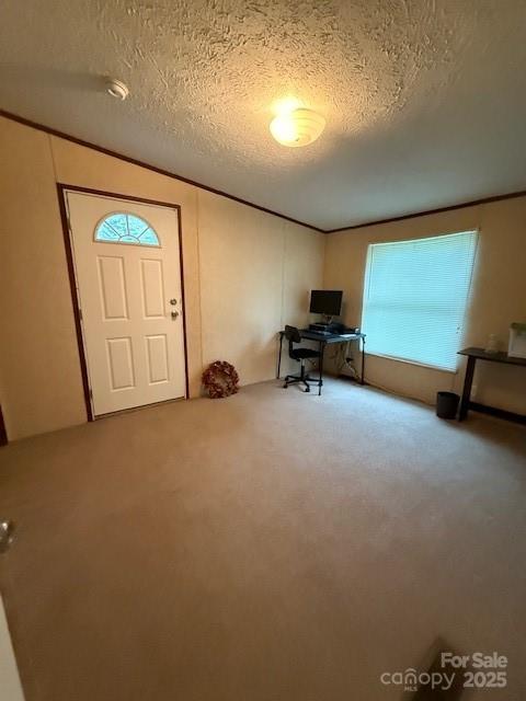 2418 6th Ave SW, Hickory, NC 28602 - entrance foyer featuring carpet, a textured ceiling, ornamental molding, and lofted ceiling