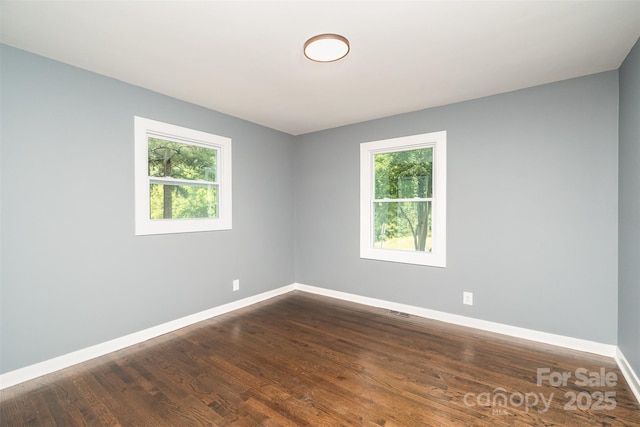 159 Potato House Rd, Lawndale, NC 28090 - spare room featuring healthy amount of natural light and dark wood-style flooring