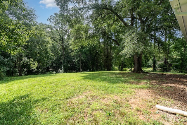 159 Potato House Rd, Lawndale, NC 28090 - view of grassy yard
