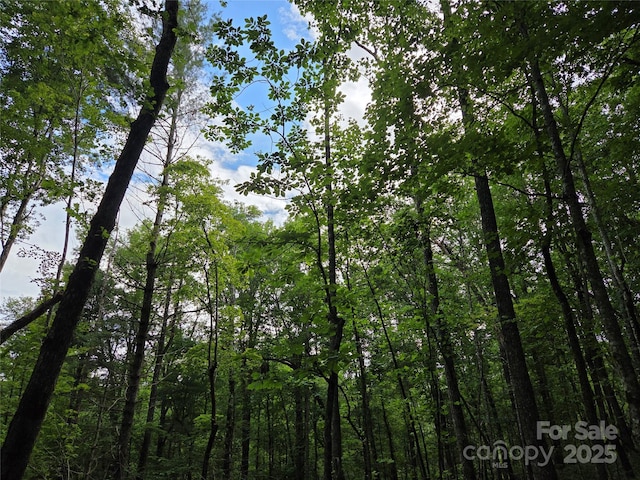 TBD Cedar Ln, Brevard, NC 28712 - photo 1