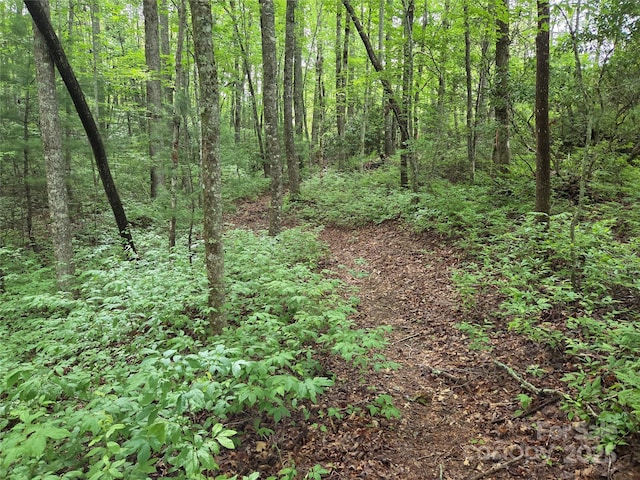 TBD Cedar Ln, Brevard, NC 28712 - photo 2