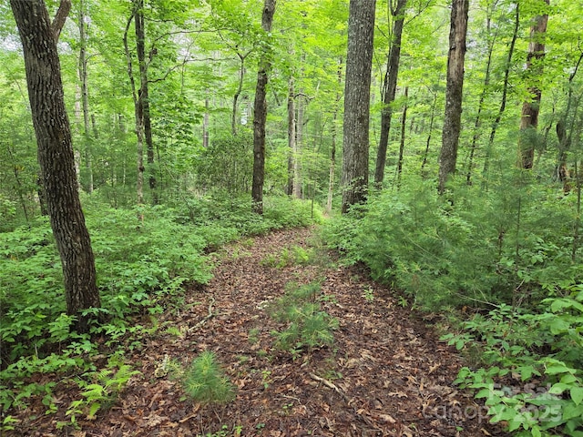 TBD Cedar Ln, Brevard, NC 28712 - photo 3