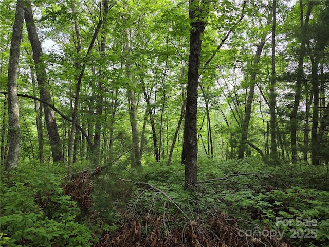 TBD Cedar Ln, Brevard, NC 28712 - photo 6