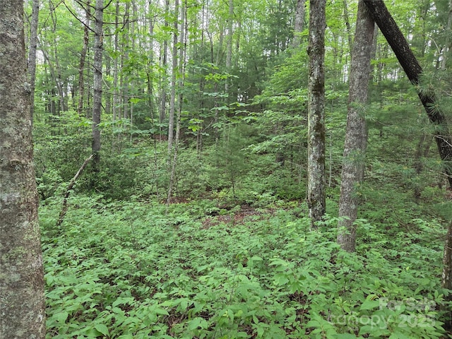 TBD Cedar Ln, Brevard, NC 28712 - photo 8