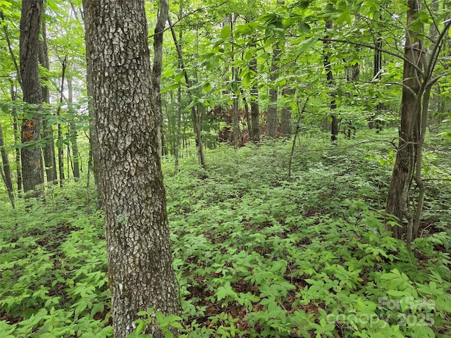 TBD Cedar Ln, Brevard, NC 28712 - photo 10