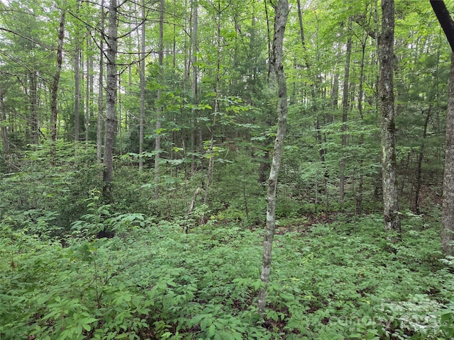 TBD Cedar Ln, Brevard, NC 28712 - photo 11