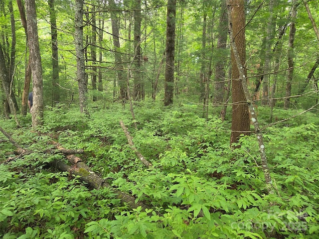 TBD Cedar Ln, Brevard, NC 28712 - photo 14