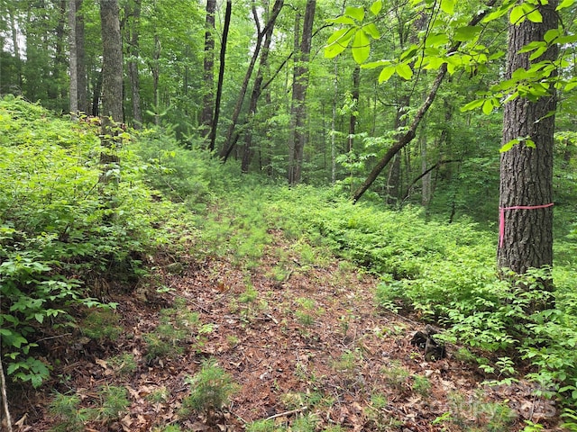 TBD Cedar Ln, Brevard, NC 28712 - photo 15