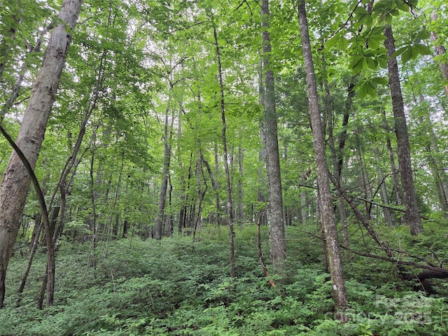 TBD Cedar Ln, Brevard, NC 28712 - photo 20