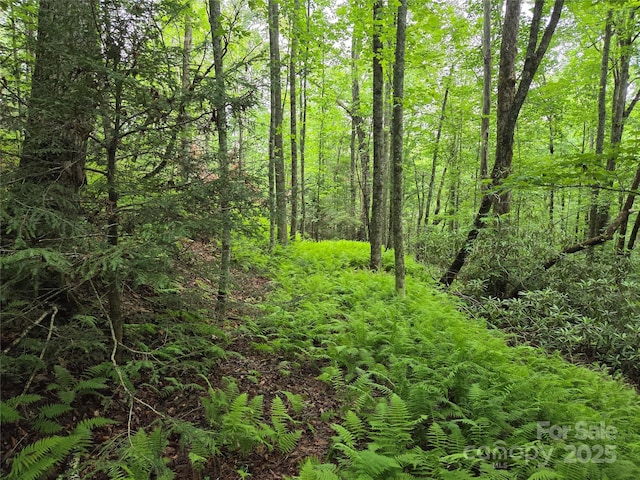 TBD Cedar Ln, Brevard, NC 28712 - photo 22