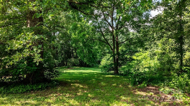 921 Spencer Rd NE, Conover, NC 28613 - view of wooded area