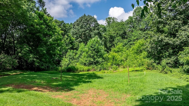 921 Spencer Rd NE, Conover, NC 28613 - view of grassy yard with a wooded view