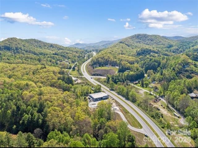 6045 E US Highway 19e, Burnsville, NC 28714