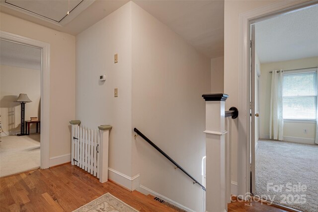 5014 Quail Canyon Dr, Charlotte, NC 28226 - photo 26