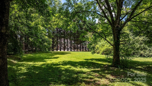 1520 21st Ave NE, Hickory, NC 28601 - view of grassy yard with a view of trees