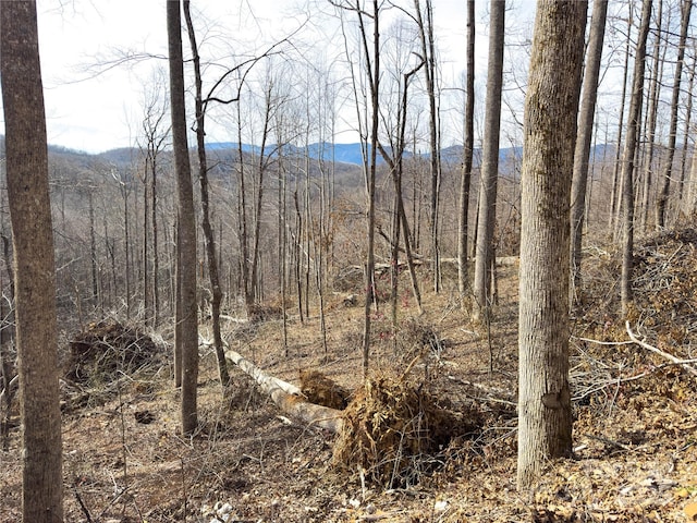 000 Rainbow Trout Dr, Spruce Pine, NC 28777