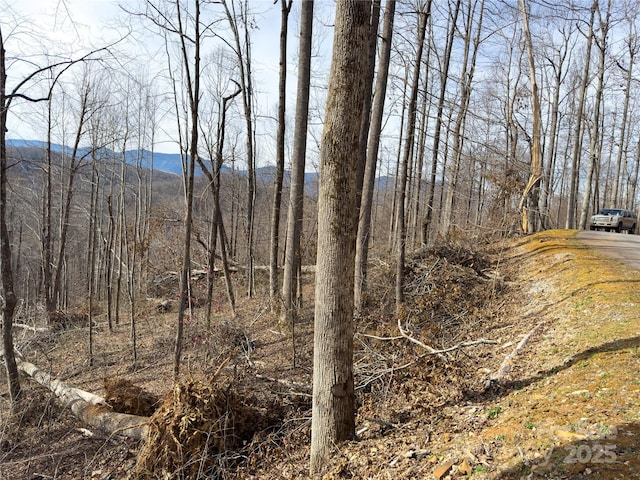 000 Rainbow Trout Dr, Spruce Pine, NC 28777