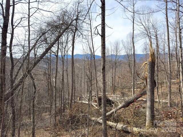 000 Rainbow Trout Dr, Spruce Pine, NC 28777
