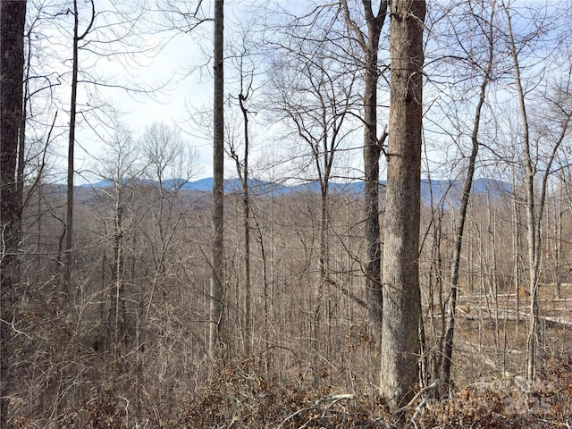 000 Rainbow Trout Dr, Spruce Pine, NC 28777