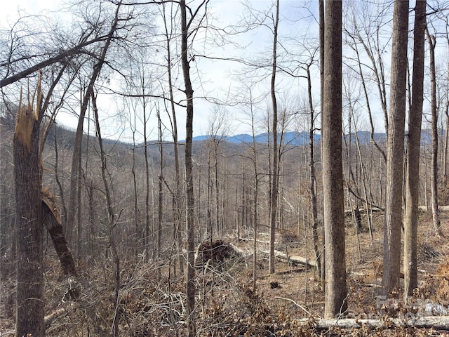 000 Rainbow Trout Dr, Spruce Pine, NC 28777