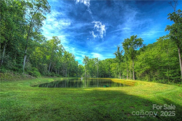 000 Rainbow Trout Dr, Spruce Pine, NC 28777