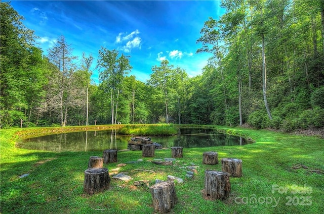 000 Rainbow Trout Dr, Spruce Pine, NC 28777