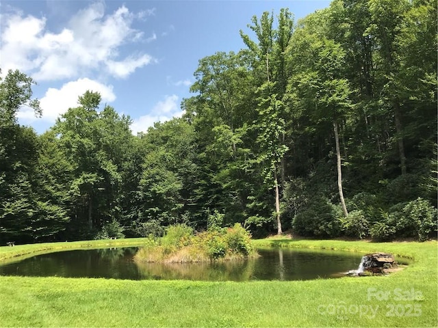 000 Rainbow Trout Dr, Spruce Pine, NC 28777