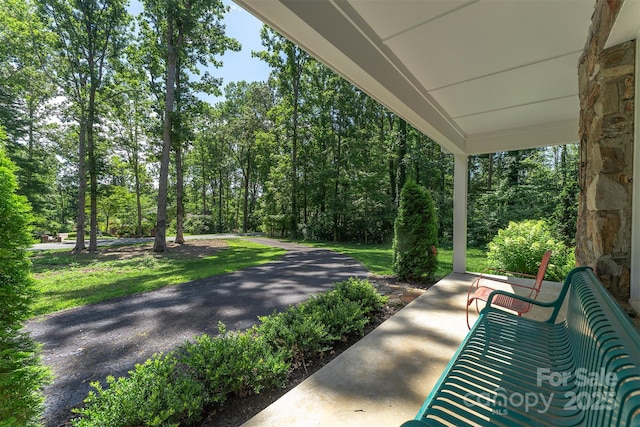 22 Glen Cove Rd, Arden, NC 28704 - photo 28