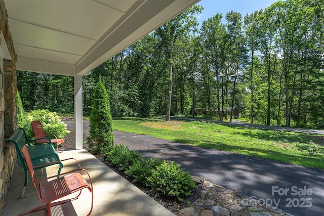 22 Glen Cove Rd, Arden, NC 28704 - photo 29