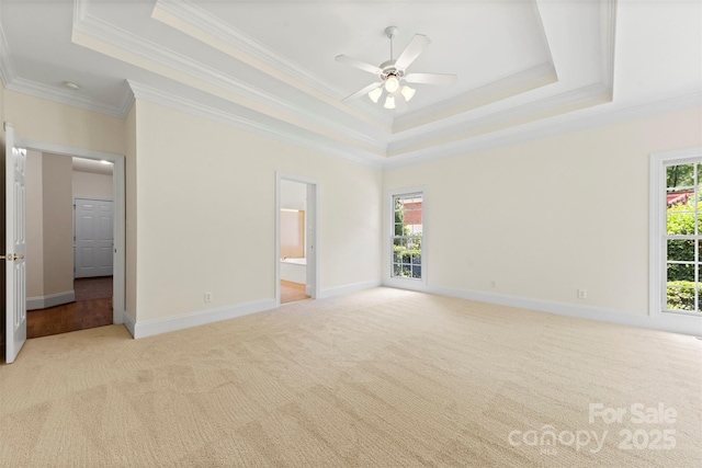 2241 Flagstick Dr, Matthews, NC 28104 - spare room with a tray ceiling, ornamental molding, light carpet, and plenty of natural light