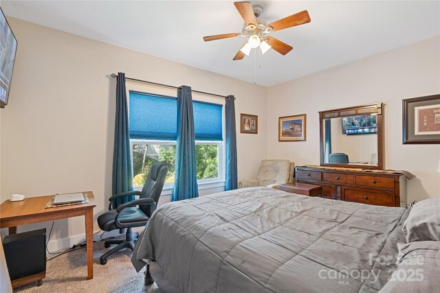 156 Olivet Ln, Fletcher, NC 28732 - photo 40