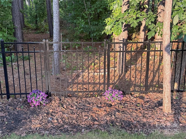 169 Rooster Tail Ln, Troutman, NC 28166 - view of gate