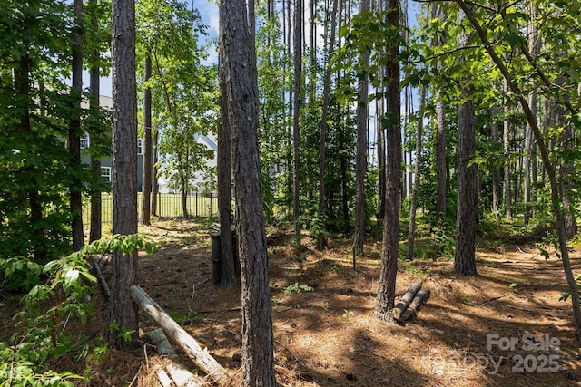169 Rooster Tail Ln, Troutman, NC 28166 - view of nature