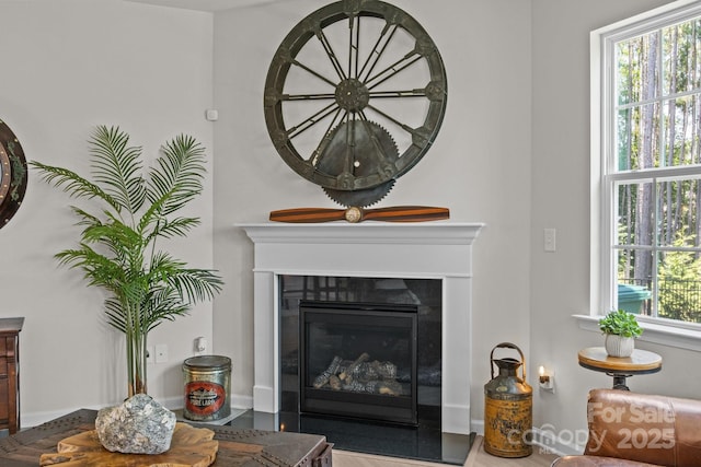 169 Rooster Tail Ln, Troutman, NC 28166 - detailed view of a glass covered fireplace