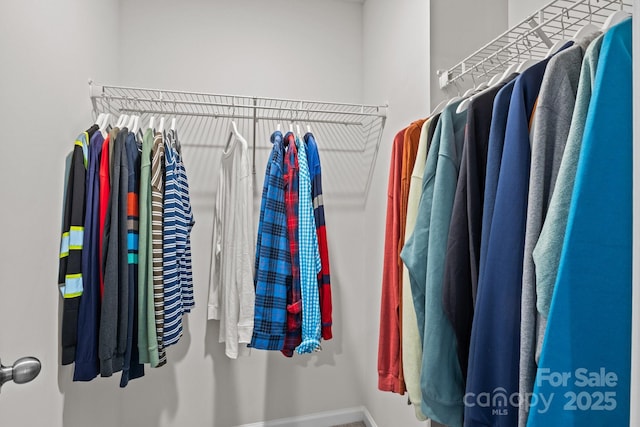 169 Rooster Tail Ln, Troutman, NC 28166 - view of walk in closet